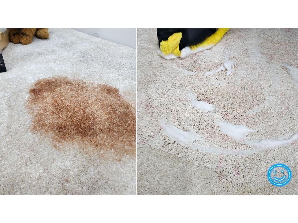Stained carpet before steam cleaning
