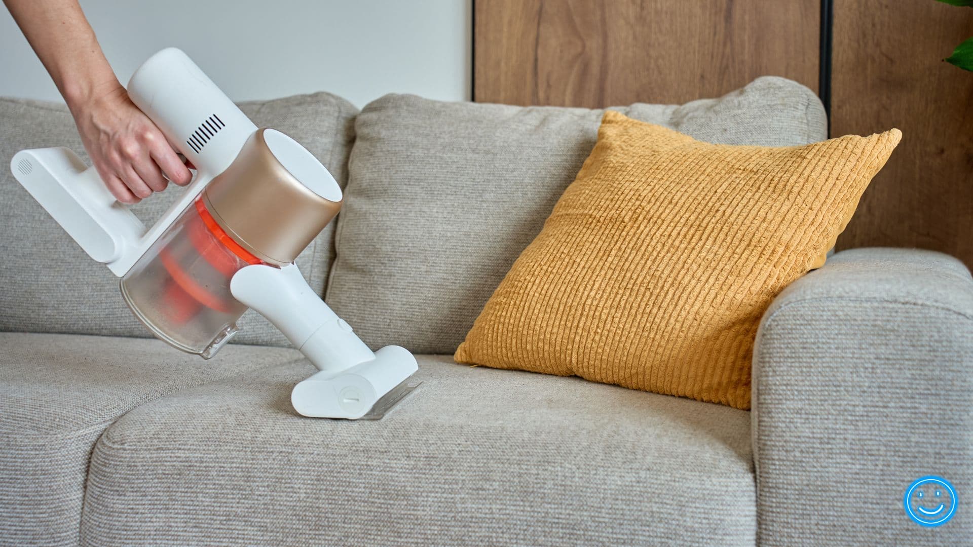 Upholstery Cleaning